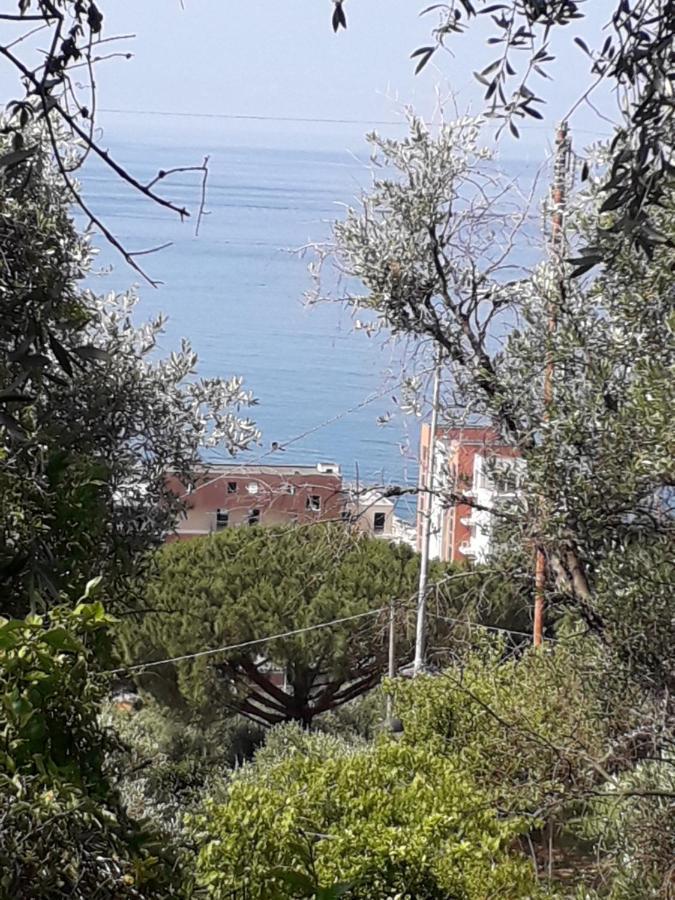 Tigullio Vacations: La Casetta Lavagna Esterno foto